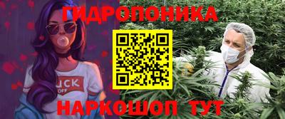 стафф Севастополь