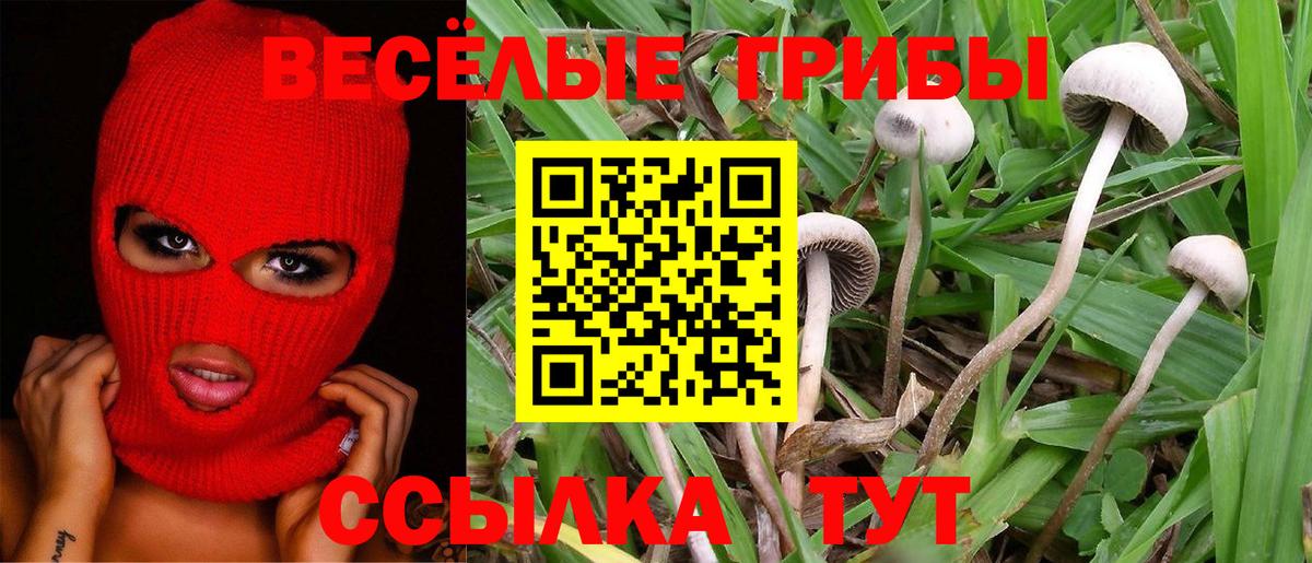 Советский  Псилоцибиновые грибы GOLDEN TEACHER  Псилоцибиновые грибы Psilocybine cubensis  Вход с VPN 